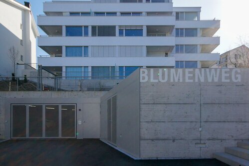 Horgen, Blumenweg 11, Neubau MFH