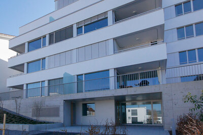 Horgen, Blumenweg 11, Neubau MFH
